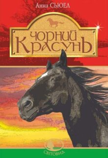 Чорний красунь